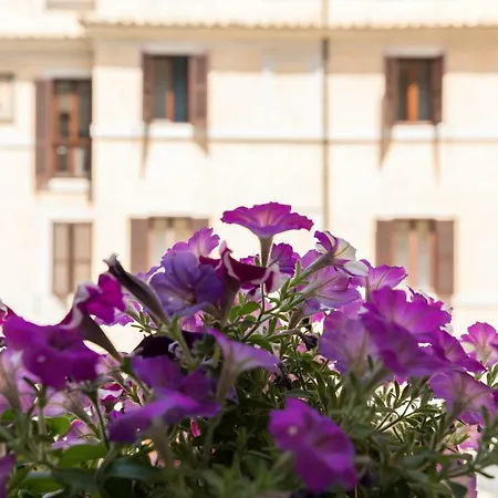 Buongiorno Colosseo Apartment Rom
